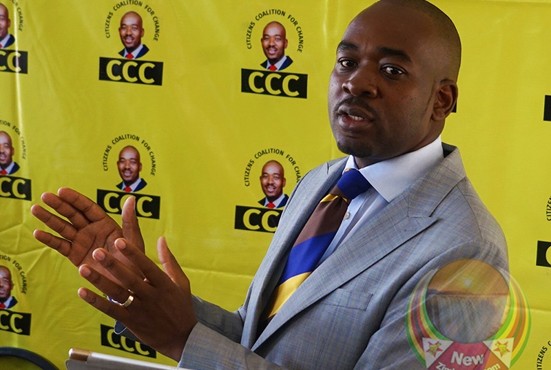 Adv Nelson Chamisa has 'Good,Strong and Solid Ground' to challenge election results