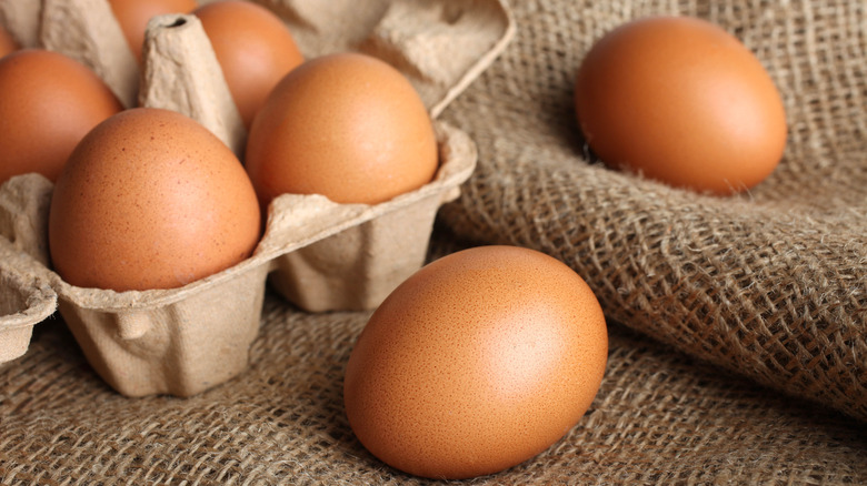 South African shoppers scramble to find eggs as major retailers run out
