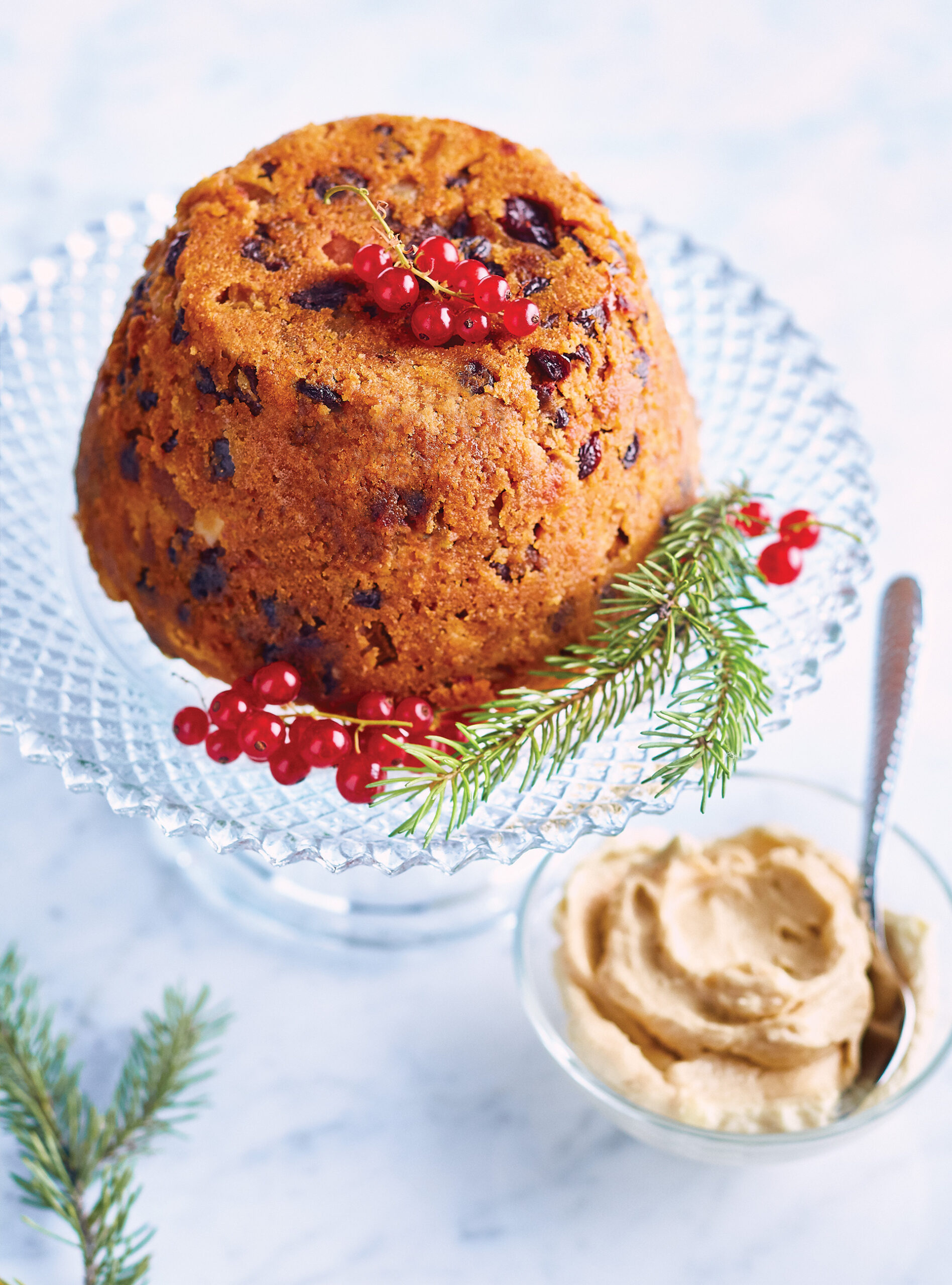 Plum pudding cake