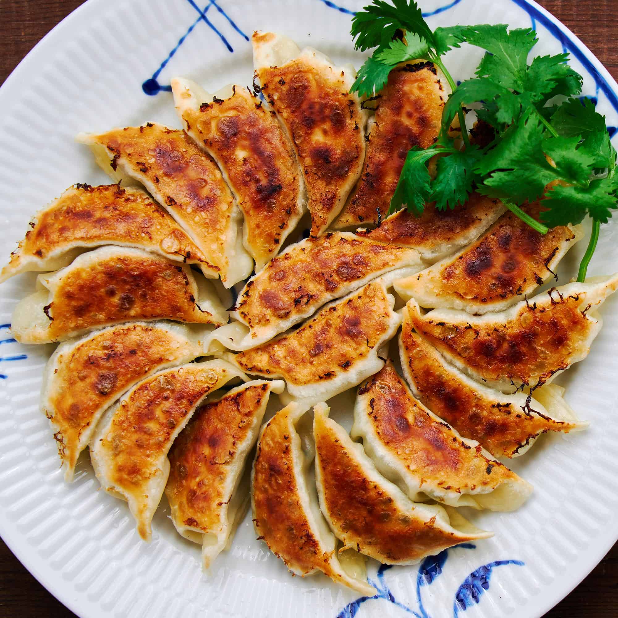 Gyoza (Japanese dumplings)